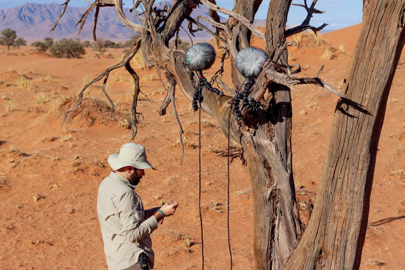 Sennheiser George Vlad 06