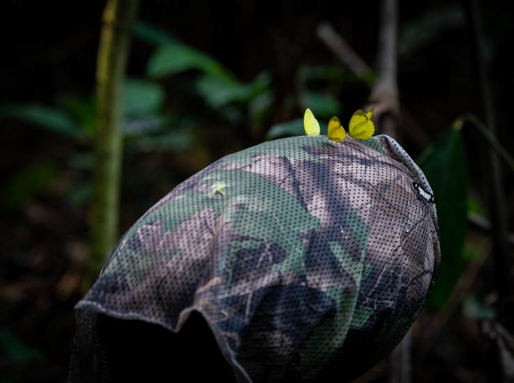 Sennheiser George Vlad 07