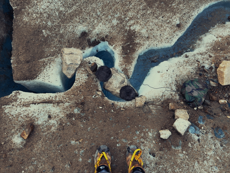 Sennheiser ThomasRexBeverly 06